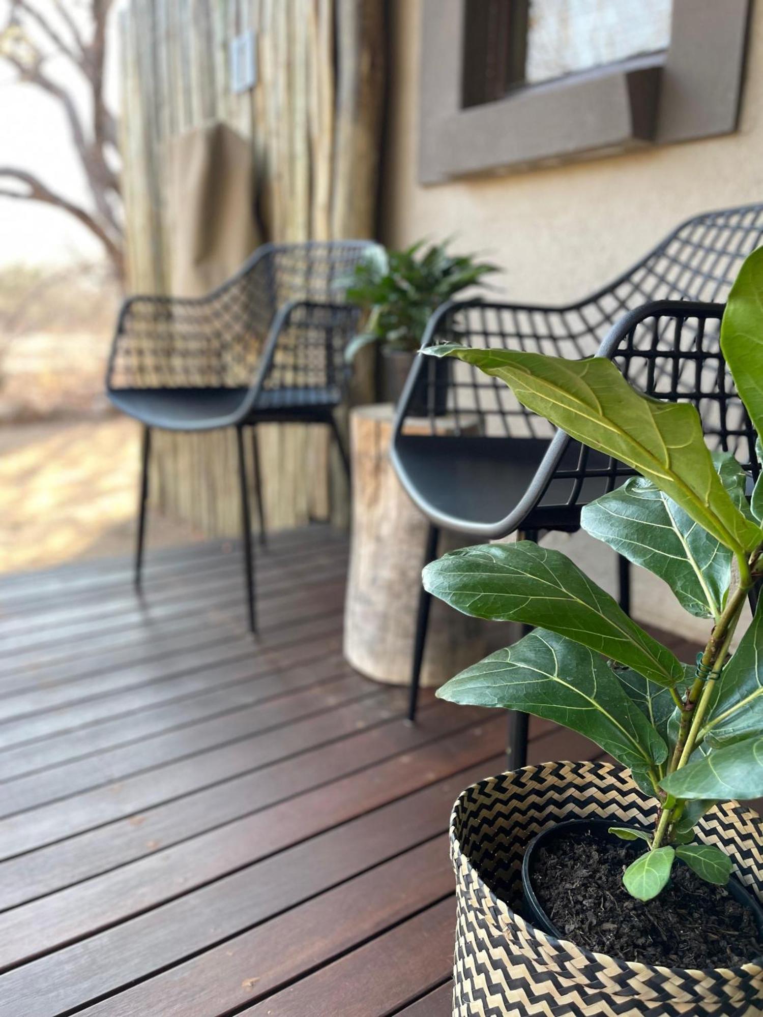 The Baobab Bush Lodge And Villa Hoedspruit Eksteriør billede